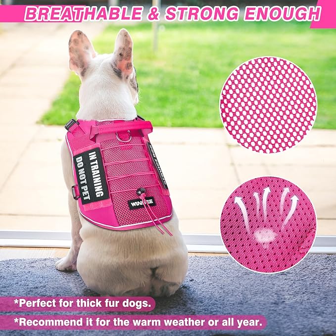 WINSEE Service Dog in Training Mesh Harness with 10 Pet Patches, Soft Air Mesh Breathable Tactical Dog Molle Vest, Reflective Military Pet Vest for Walking Hiking for Medium Dogs