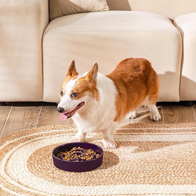 vancasso Slow Feeder Dog Bowl, 1.5 Cups Ceramic Slow Feeder for Medium Breed, Puzzle Maze Food Dog Bowl for Fast Eater, Dark Purple