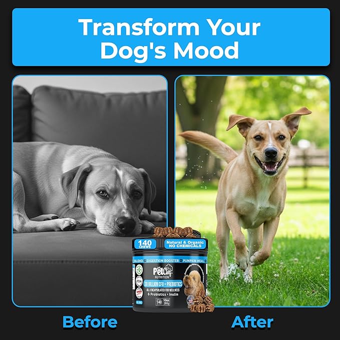 Pet Chef Probiotics for Dogs with Prebiotics & Enzymes 140 Naturally Healthy Soft Chews for Digestion Gut & Skin Health Puppy-Friendly Improves Poop Stops IBS Low Calorie No Fillers