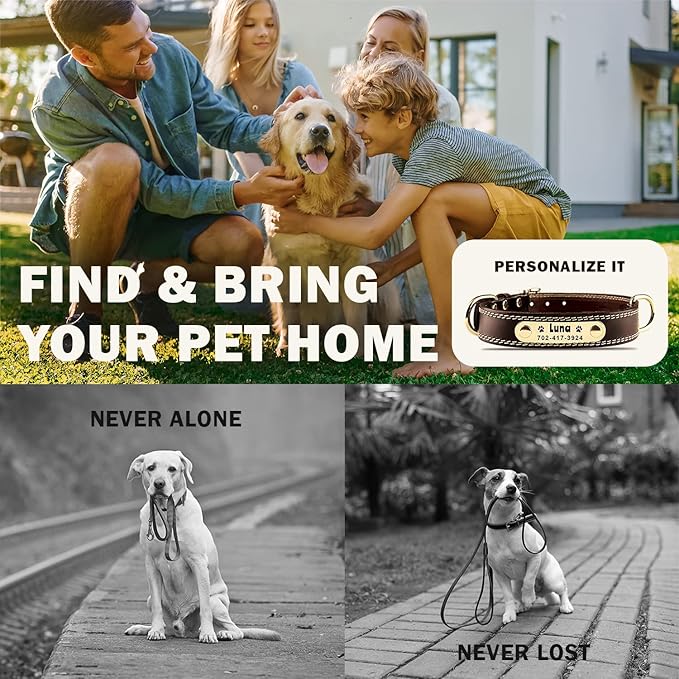 Personalized Dog Collar - Custom Leather Dog Collar with Engravable Nameplate - Durable Name Tag Collar - Customizable Dog Collar - Comfortable ID Collars for Small, Medium, Large Dogs (Medium)