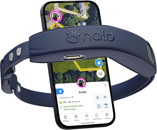 Halo Collar 4, GPS Wireless Dog Fence & Dog Training Collar with GPS Tracker, Subscription Required, Waterproof, Midnight, One Size