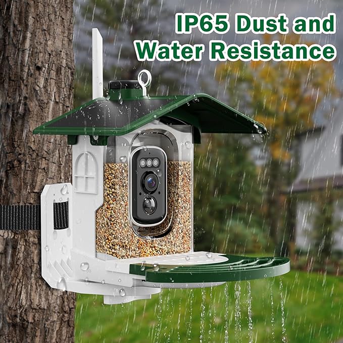 Smart Bird Feeder with Camera Solar Powered - AI Bird Identification, 2.4Ghz WiFi, 2K HD Video Live Stream Camera, 3MP Photos, 2.9in Focus, Gifts for Mom Dad Birdlovers, Green