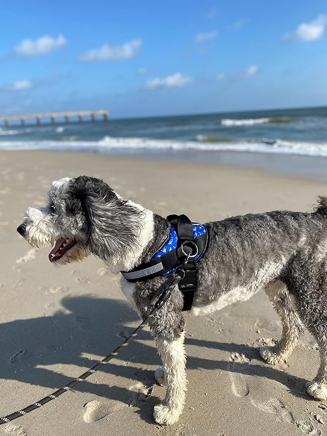 ShawnCo Essential Dog Harness, No-Pull Pet Vest with 3 Leash Clips, No Choke, Reflective, Adjustable and Padded, for Easy Walking and Training for Small, Medium and Large Dogs (White Sharks, XL)