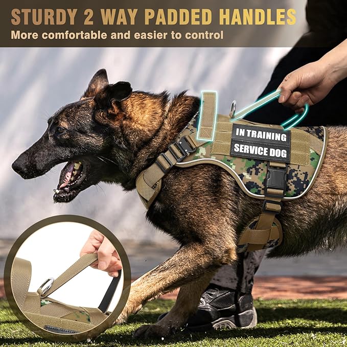 WINSEE Tactical Dog Harness for Medium Dog, Heavy Duty Service Working MOLLE Vest with 10 Pet Patches, 2X Metal Buckle Vest for Training Hunting Walking
