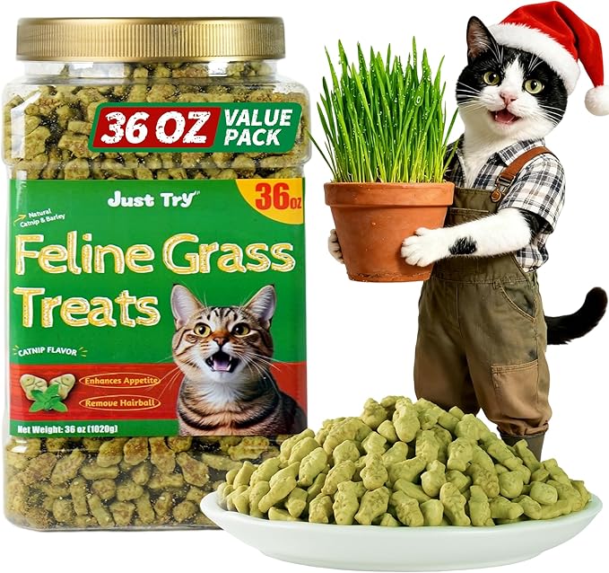 Just Try 36 OZ Cat Treats for Indoor Cats Hairball Control Natural Salmon Healthy Cat Grass Treats Kitten Snacks Training Biscuits Catnip for Cats Dental Care