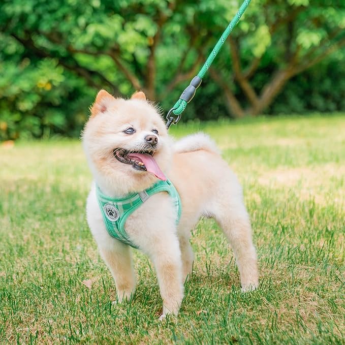 BEAUTYZOO Small Dog Harness and Leash Set,Step in No Choke No Pull Soft Mesh Dog Harnesses Reflective for Extra-Small Medium Puppy Dogs and Cats, Plaid Dog Vest Harness for XS S Pets, Teal XS