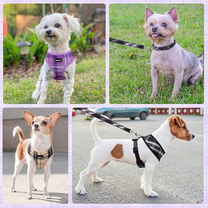 SCENEREAL No Pull Dog Harness Collar and Leash Set Small Medium Sized Dog, Soft Mesh Step in Puppy Harnesses, No Chock Plaid Adjustable Pet Vest for Outdoor Walking Training and Running, Purple M