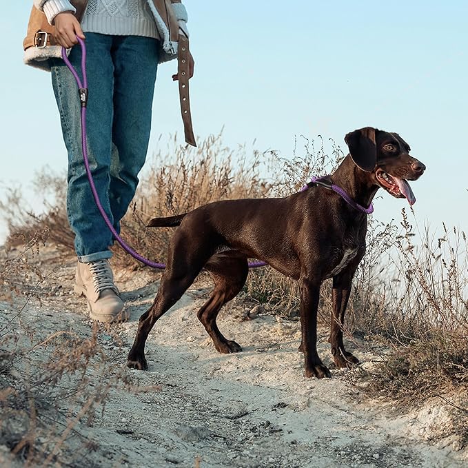 TwoEar Slip Leads for Dogs, 1/2" x 6FT Slip Leash for Large Dogs with Highly Reflective Threads, Comfortable Strong Rope Slip Leads, No Pull Pet Training Leash, Purple