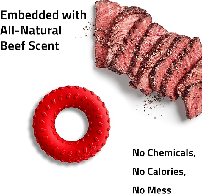 Playology Dog Toys | Dual Layer Ring Durable Chew Toy for Aggressive Chewers | Medium Beef Scented Toy - Easy to Clean and Made from Non Toxic Materials