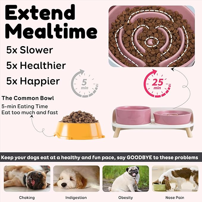 Elevated Slow Feeder Dog Bowls - Ceramic Food and Water Bowl Set with Stand - Raised Pet Dishes for Small and Medium Sized Dogs