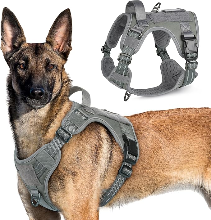 rabbitgoo Tactical Dog Harness for Large Dogs, No Pull Military Service Vest with Handle & Molle, Easy Control for Training Walking, Adjustable Reflective Straps, Dark Grey, XL