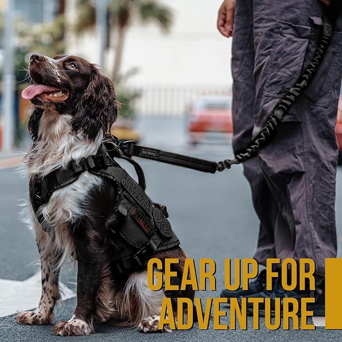 Tactical Dog Training Bungee Leash with 2 Control Handle Quick Release Nylon Leads Rope (Black)