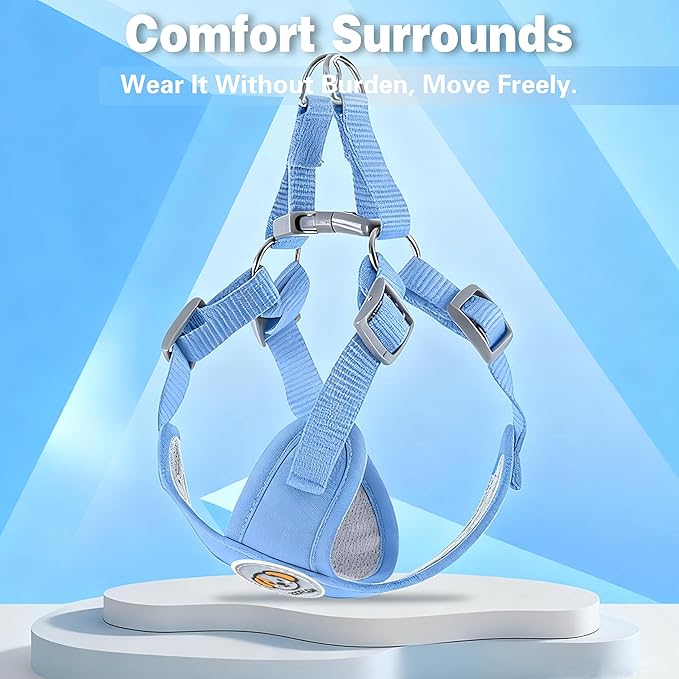 Dog Harness with Leash Set, Puppy Soft Vest No Choke No Pull, Adjustable Neck and Chest, Lightweight Harness and Anti-Twist Pet Leash Combo for Small to Medium Dogs (Blue, M-Medium)