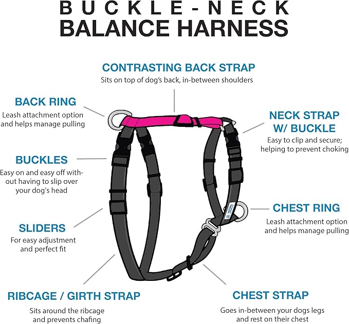 Blue-9 Buckle-Neck Balance Harness, Fully Customizable Fit No-Pull Harness, Ideal for Dog Training and Obedience, Made in The USA, Hot Pink, Medium/Large