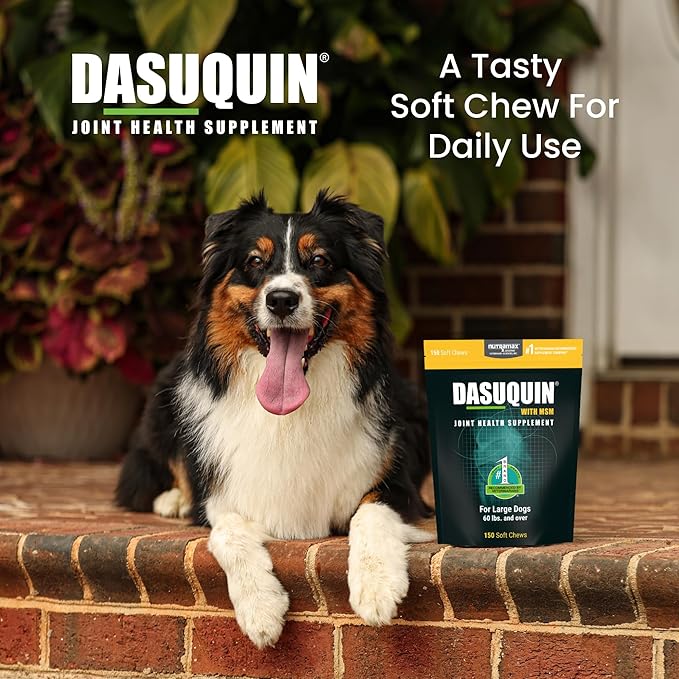 Nutramax Dasuquin for Large Dogs, Joint Health Supplement, Contains Glucosamine for Dogs, Plus Chondroitin, ASU, MSM and More, Supports Healthy Joints, Soft Chews, 150 Count
