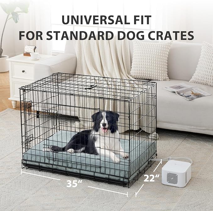 Pet Bed Heating & Cooling System, Consistent Warm and Cold Water Pad, No Electric Shock or Chemical Gel Needed, Machine Washable Bed, Ideal for Home and Crates (Cooling & Heating Green, 35" x 22")