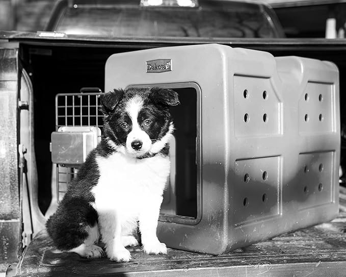 Dakota 283 G3 Framed Door Kennel