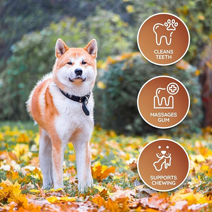 Wildfang® Leather Dog Toy, Medium - Leather Bone for Teething Dog, Dental Toys for Puppies, Training for Chewing Muscles, Puppy Chew Bones for Light or Medium Chewers (for Dogs 22-33 lbs), Pack of 3