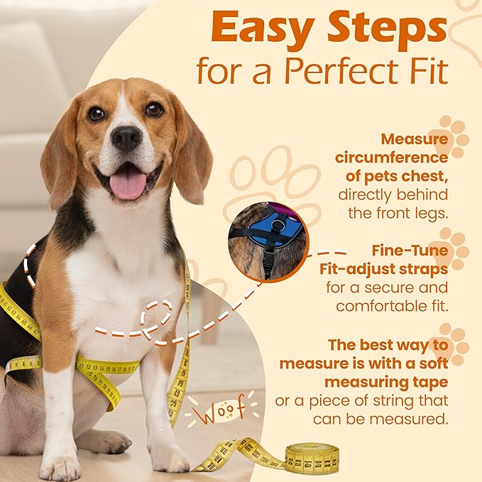 Bark Appeal Blue No-Pull Dog Harness for Extra Small Sized Pets – Adjustable, Reflective Vest with 3 Leash Clips for Added Control, Easy Walks & Training – XS