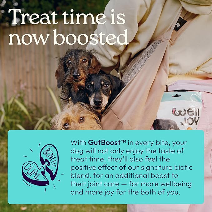 WellJoy Dog Treat Joint+ GutBoost | Glucosamine | Healthy Joints & Cartilage | Dual-Benefit GutBoost Formulation | Vet Formulated | Made in USA | Made with Real Shredded Chicken | 30 Soft Chews
