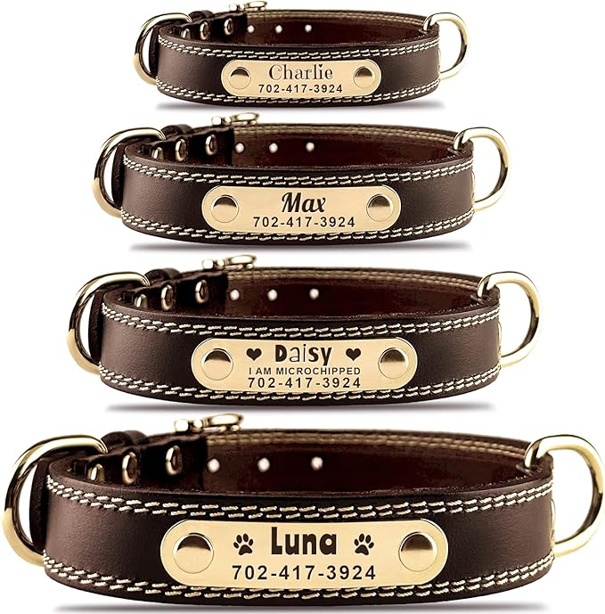 Personalized Dog Collar - Custom Leather Dog Collar with Engravable Nameplate - Durable Name Tag Collar - Customizable Dog Collar - Comfortable ID Collars for Small, Medium, Large Dogs (Small)