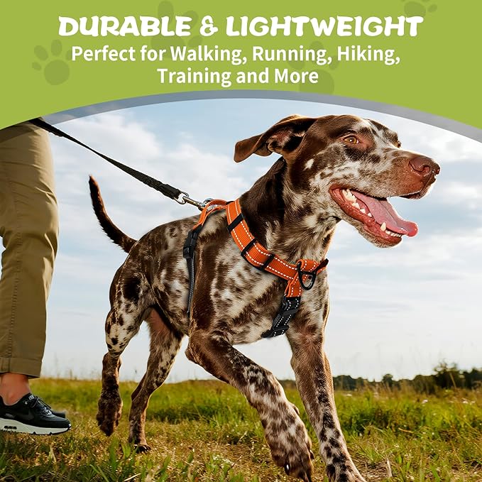 No-Pull Harness,Y-Shaped Design,Buckle-Neck Balance Harness with Reflective Stitching, Ideal for Dog Training and Night Walking, Padded Handle, Durable High-Tensile Nylon-Orange-L