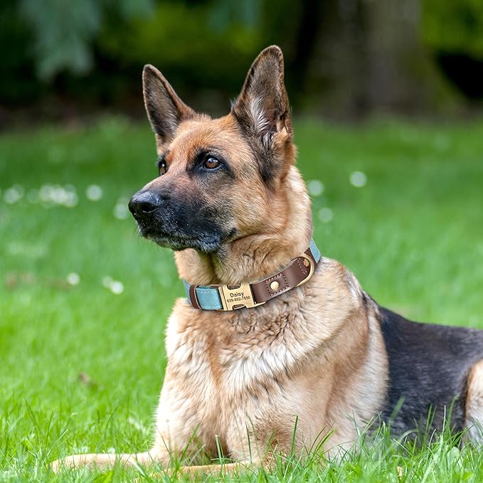 Personalized Dog Collars, Custom Soft PU Leather Dog Collar with Pet Name and Phone Number for Large Dogs, Adjustable and Durable Pet Collars with Quick Release Metal Buckle,XL(17-26")