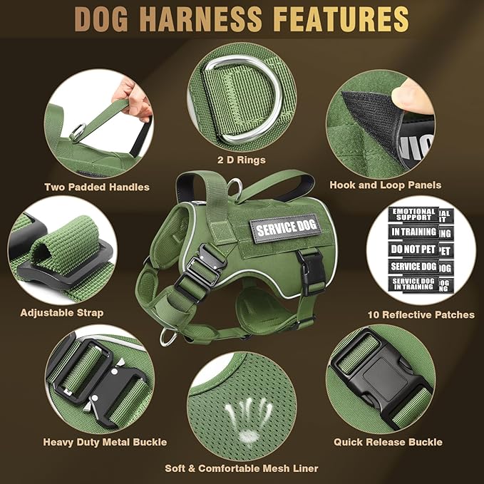 WINSEE Tactical Dog Harness for Medium Dog, Heavy Duty Service Working MOLLE Vest with 10 Pet Patches, 2X Metal Buckle Vest for Training Hunting Walking