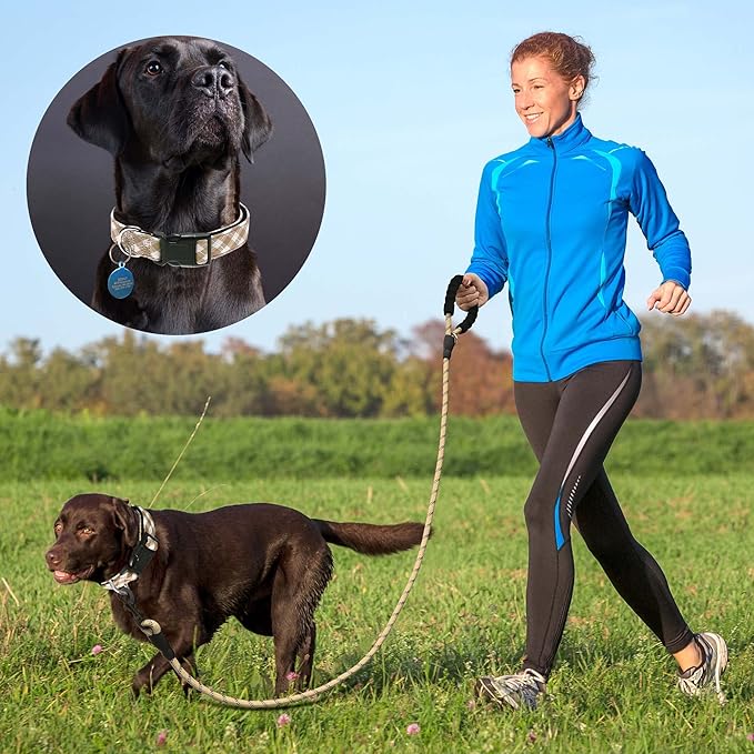 Reflective Dog Collar Padded with Soft Neoprene Breathable Adjustable Nylon Dog Collars for Small Medium Large Dogs (Large (Pack of 1), Vanilla Plaid Collar+Leash)