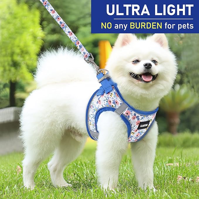 GAMUDA Small Dog Harness Collar and Leash Set, Step in No Chock No Pull Soft Mesh Adjustable Dog Vest Harnesses Plaid Reflective for Dogs Puppy Cats Kitten Rabbit (Blue Flower, XXS)