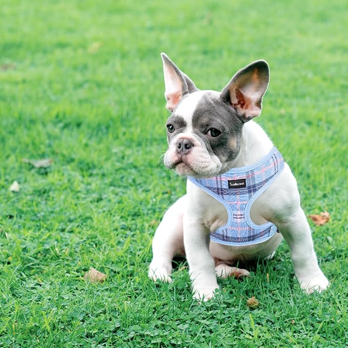 SCENEREAL Puppy Dog Harness with Leash Set for Small Medium Sized Dogs, Soft Mesh Step in Pet Harnesses and Leash, No Chock Plaid Adjustable No Pull Vest for Dogs Cats, Chihuahua,Bulldog (Blue XS)