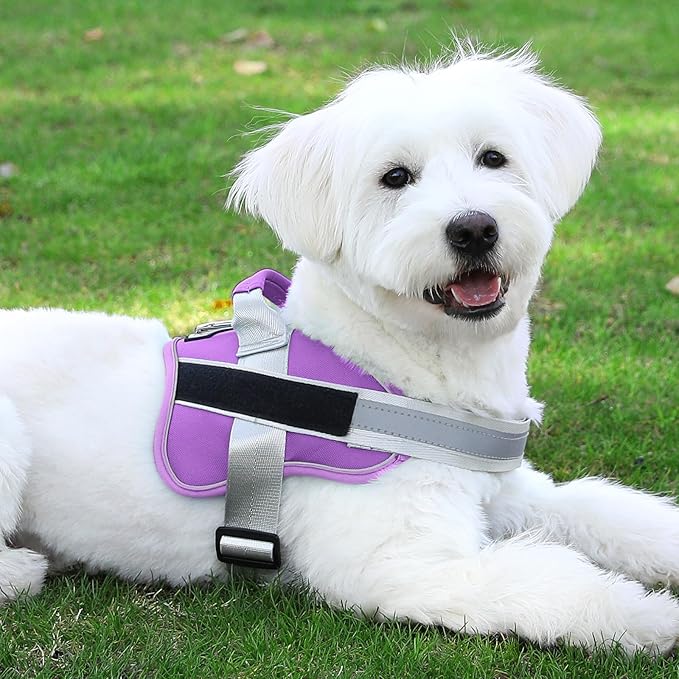 Bolux Dog Harness, No-Pull Reflective Dog Vest, Breathable Adjustable Pet Harness with Handle for Outdoor Walking - No More Pulling, Tugging or Choking (Lavender, X-Small (Pack of 1))