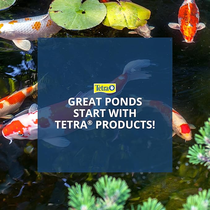 Tetra Pond Sticks, Fish Food, for Goldfish and Koi, 3.53 Ounces | Pack of 2 | Healthy Nutrition