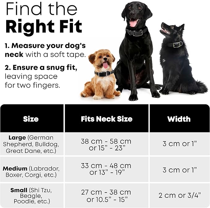 Regal Dog Products Small Black with Custom Engraved Reflective Dog Collar and Leash Set | Waterproof Dog Collar with D Ring | Center Ring & 5'ft Leash | Matching Dog Collar and Leash for Dogs