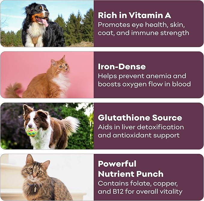 Skona PetFood Beef Liver Jerky Dog & Cat Treats, Single-Ingredient, High Protein Training Snacks, Natural & Healthy, USA Made, Supports Digestion, Energy & Shiny Coat, Rich in Nutrients, 4oz