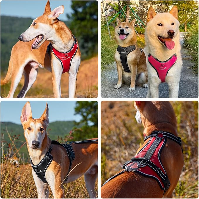 EXCELLENT ELITE SPANKER Nylon Reflective Dog Harness Adjustable No Pull Lightweight EVA Padded Vest Nameplate-Front Clip Service Dog Harness with Buckle for Medium Large Dogs (Peach Red, L)