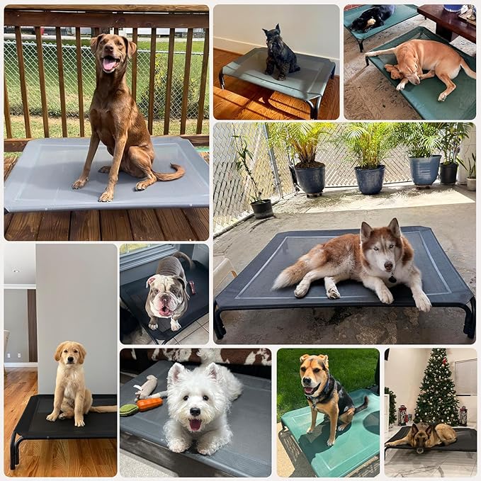 Elevated Dog Bed Raised Outdoor Dog Cot for Medium Dogs, Installation Requires No Tools, Frame with Washable Cooling Breathable Mesh Anti-Slip Feet, Indoor Pet Bed, Blue, 35.4 Inches