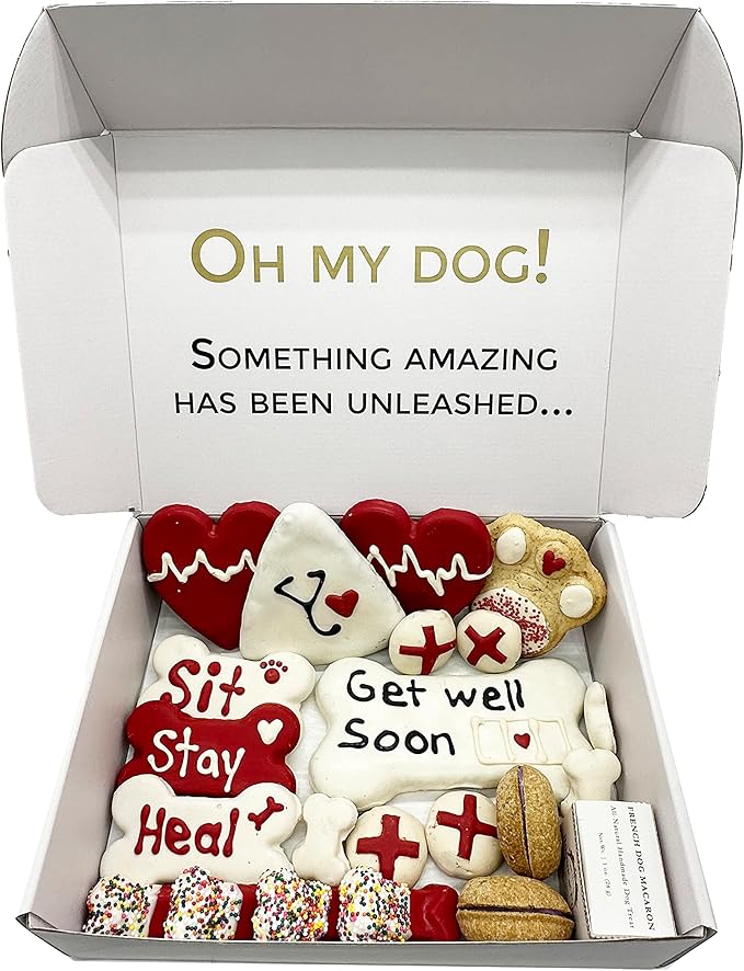Bonne et Filou Get Well Soon Dog Treats, Gourmet Gift Box, 21 Luxury Macarons, Truffles & Bone Cookies, Healthy & Delicious Snacks for Medium to Large Dogs