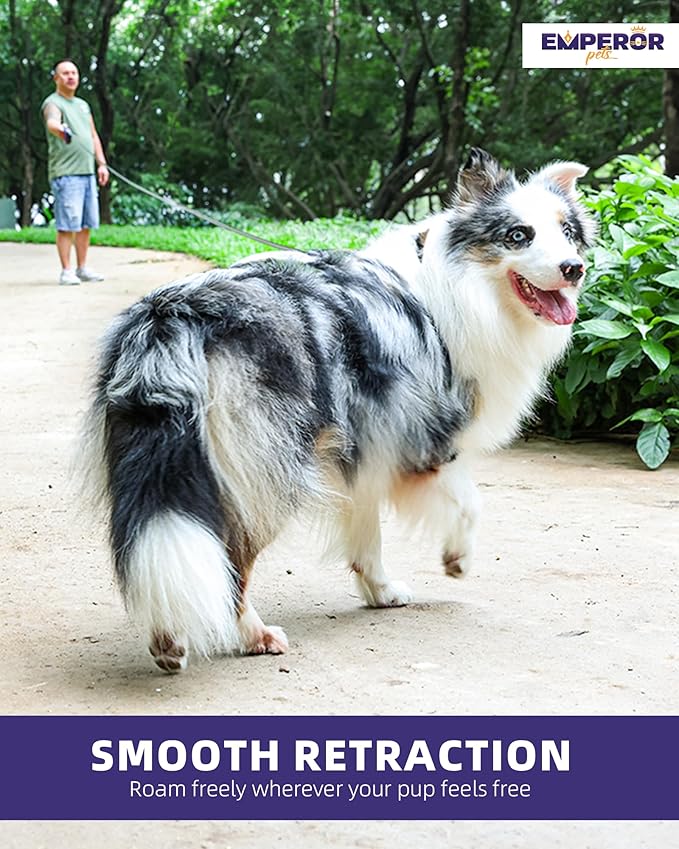 Emperor Pets 16 Feet Retractable Dog Leash Small Dogs - Up to 44lbs, Heavy Duty Leash Retractable 16 ft, Dog Leashes for Small Breed Dogs -PK16S