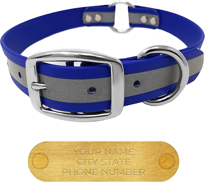 Regal Dog Products Small Blue Reflective Dog Collar with Custom Engraved Name Plate and Heavy Duty Center Ring | Waterproof Biothane Personalized Dog Collars - Other Sizes for Medium & Large Dogs
