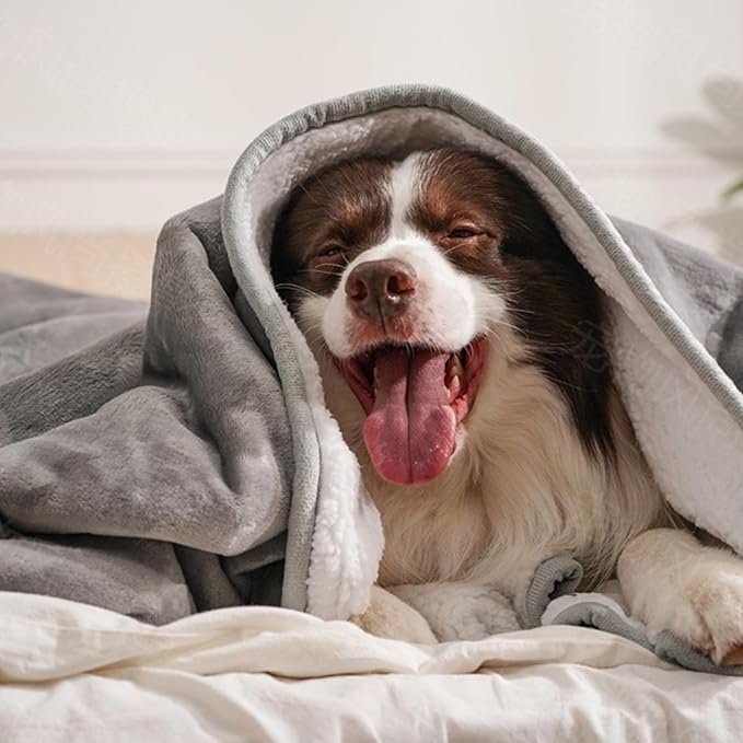 gogobunny Waterproof Blanket for Bed Couch Sofa, Liquid Pee and Fur Proof Pet Blanket for Dog Puppy Cat, Reversible Sherpa Fleece Throw Blanket Furniture Cover Protector (Grey, 50x60 inches)