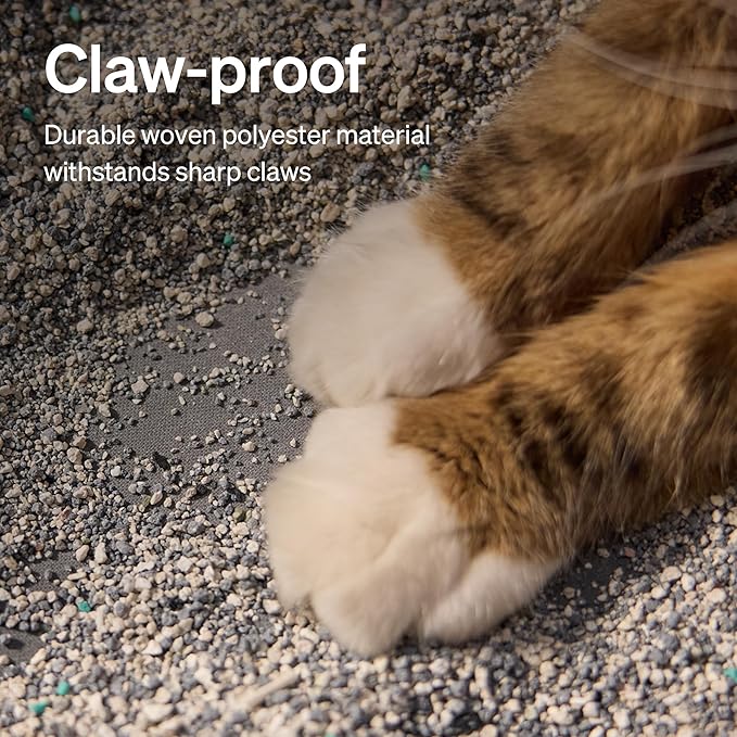 PETLIBRO Luma Automatic Cat Litter Box AI Waste Analysis, Open-Top Self Cleaning Litter Box, in-App Usage Tracking Multi-Cat Recognition, Triple Safety Protection Odor Control+Accessory Kit