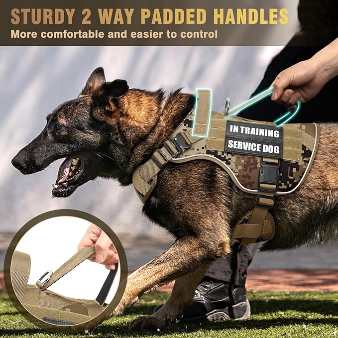 WINSEE Tactical Dog Harness for Medium Dog, Heavy Duty Service Working MOLLE Vest with 10 Pet Patches, 2X Metal Buckle Vest for Training Hunting Walking