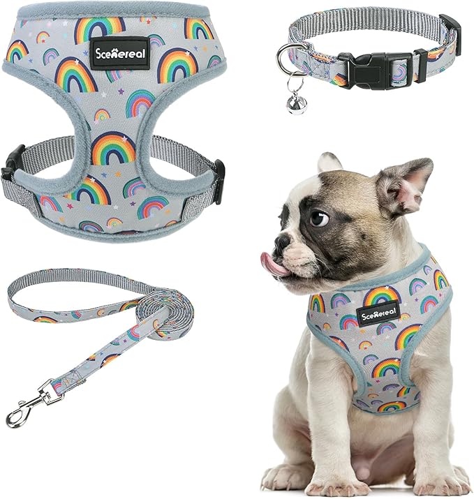 SCENEREAL Small Dog Harness Collar and Leash Set, Adjustable No Pull Pet Harnesses, No Chock Soft Mesh Step in Vest for Doggie Puppy Medium Dogs Cats Girl or Boy,Chihuahua, Yorkie, Outdoor Walking