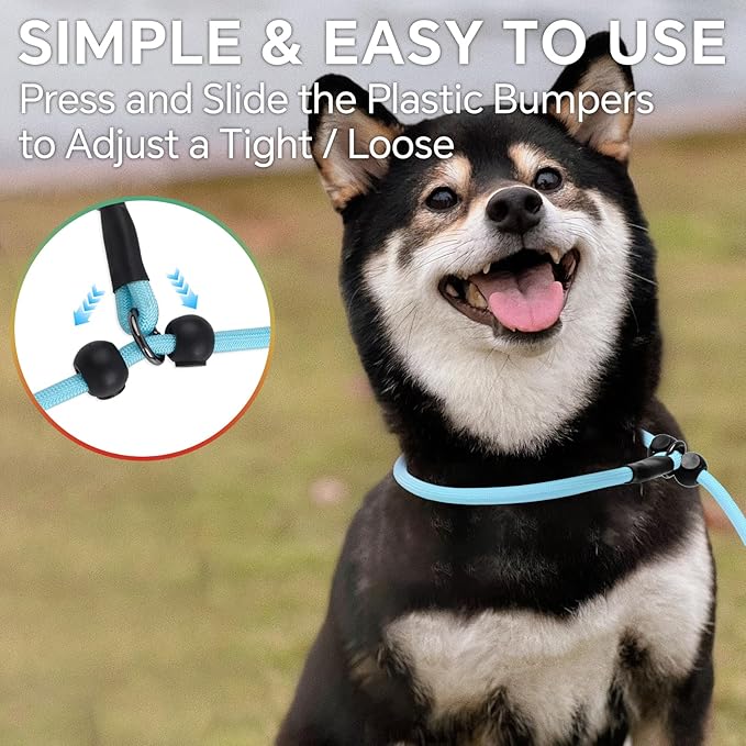 QQPETS Adjustable Slip Lead Dog Leash, Hands Free Waist Leash for Dog Walking, Reflective Training Lead with 360° Swivel Anti-Tangle, 4-7 ft Length for All Breeds