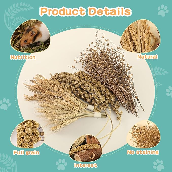 Hamster Spray Set - Natural Snack Grains & Chew Toys for Cage Decoration Accessories, Soft Bedding for Dwarf Syrian Hamsters, Gerbils, Mice & Small Pets
