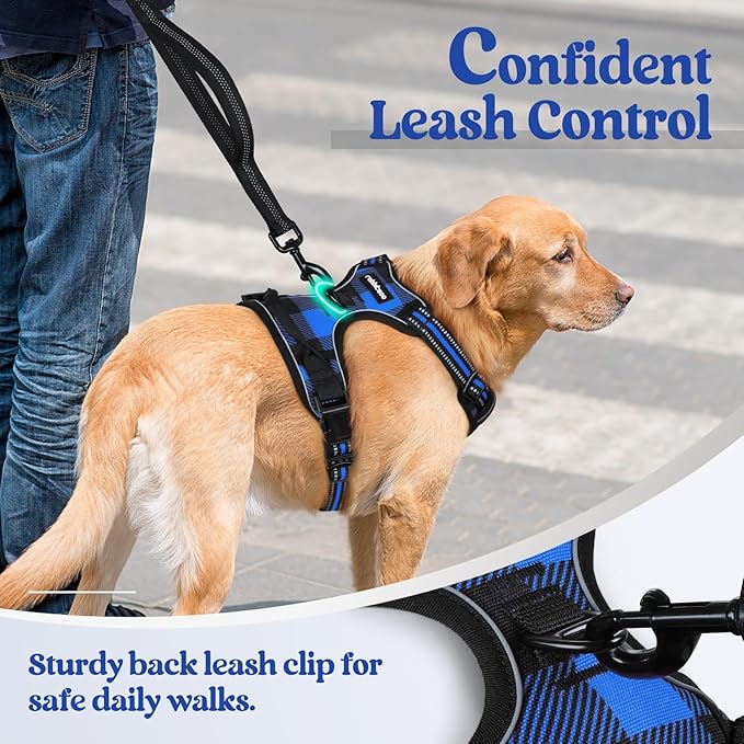 rabbitgoo Dog Harness No-Pull, Comfortable Padded Plaid Harness with Handle Easy Control, Adjustable Reflective Pet Vest with 2 Leash Clips for Small Dog, Blue Plaid, S
