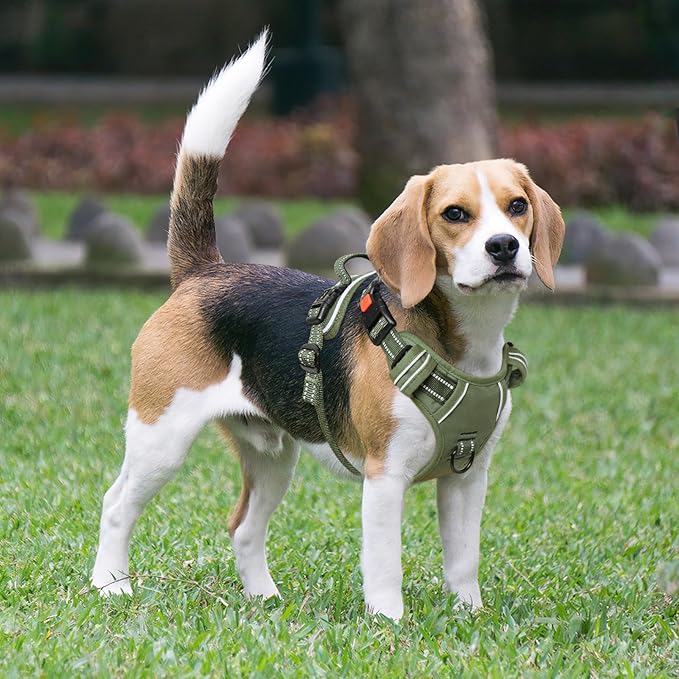 Timos Dog Harness Large Sized, No Pull Pet Harness with Neck Lockable Snap,No Choke Front Clip Dog Reflective Vest,Adjustable Metal Rings 3 Buckles,Easy Control Handle for Large Dogs Green L