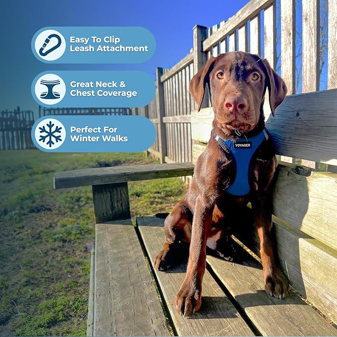 Best Pet Supplies - All Weather Mesh/Plush, Reflective, No Pull Harness for Small, Medium Dogs, Cats - Secure with Hook & Loop Fastener, Buckle, Double D-Rings - Royal Blue Faux Leather, S