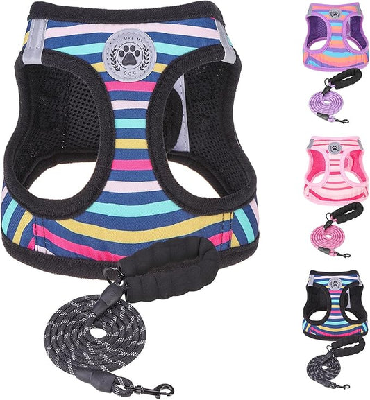 BEAUTYZOO Dog Harness and Leash Set for Small Dogs,No Pull Step-in Harness for Puppy XS S Sized Dogs and Cats,Air Mesh Adjustable Breathable Soft No Choke Escape Proof Vest Harnesses,Striped Teal XXS